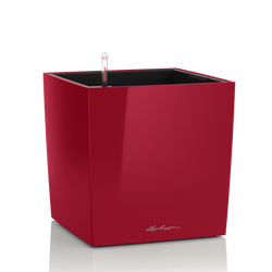 Donica Lechuza Cube Premium 40 czerwony połysk
