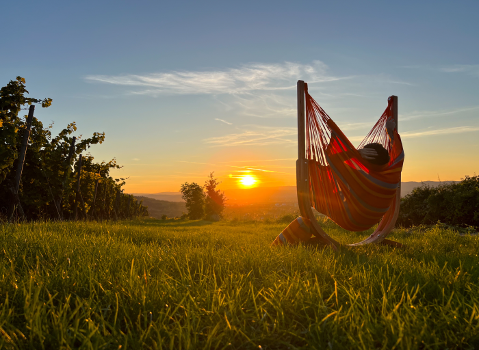 Fotele hamakowe La Siesta Udine. Połączenie komfortu z ekologią.